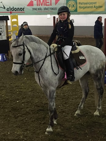 D-stevne Sandnes og Jæren Rideklubb 14-16. februar 2016